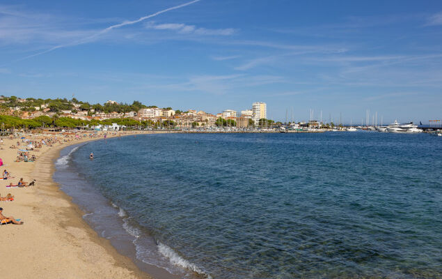 Le Bougainvillier - Photo 28