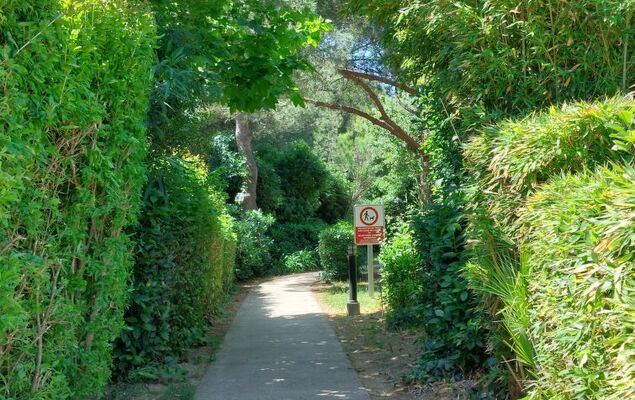 le Verdon - Photo 28