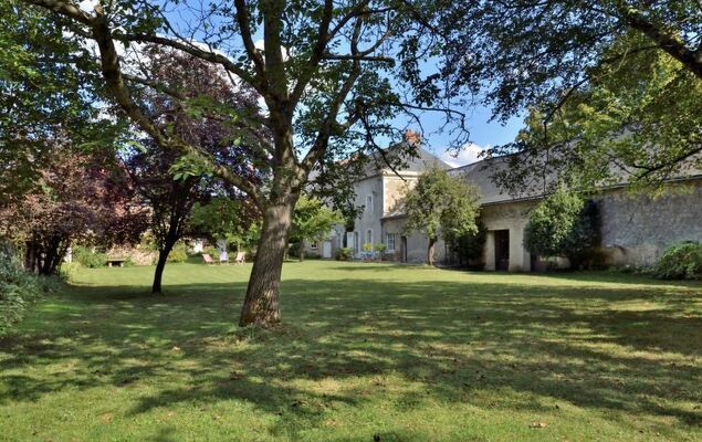 Langevine - Photo 37