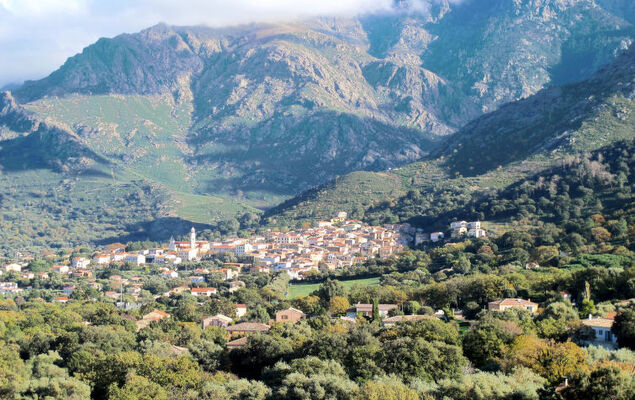 Casa Palmento - Photo 37