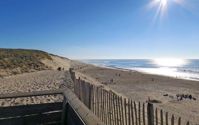 Les Grands Pins - Photo 23