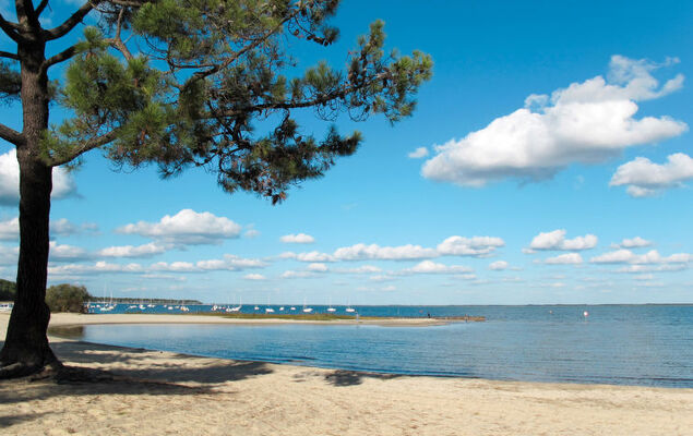 Les Grands Pins - Photo 28