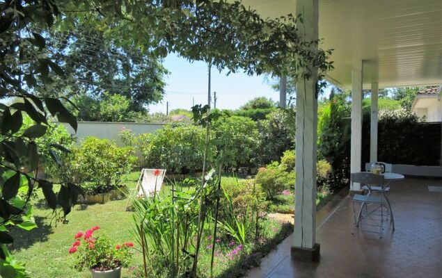 Mandarine - Photo 11