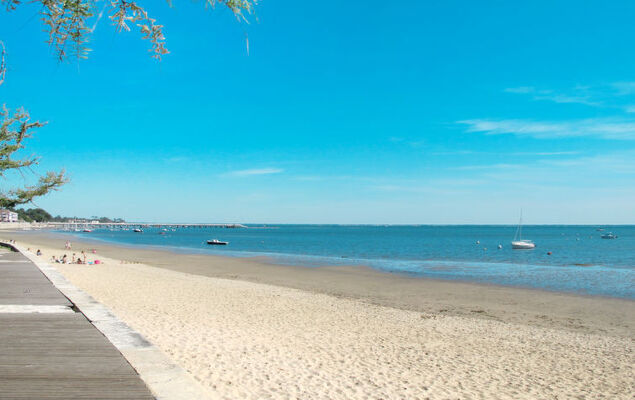 Mandarine - Photo 20