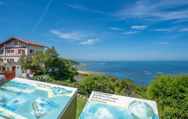 Xabadenia - Photo 19