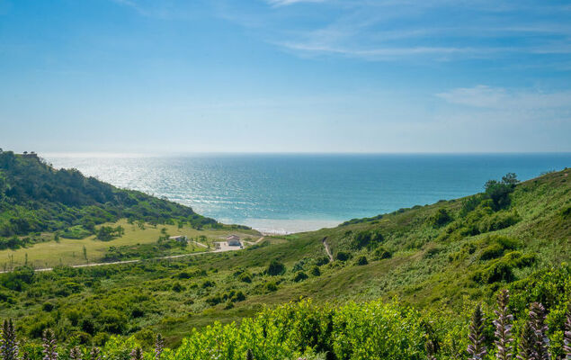 Lore Landa - Photo 33