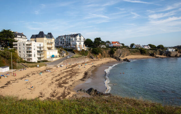 Hortensias 1 - Photo 21