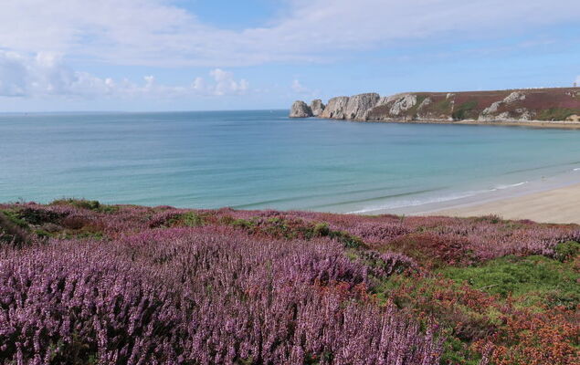 Ar Baradoz - Photo 34