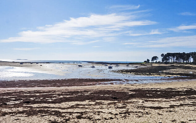 Men Er Bellec - Photo 23