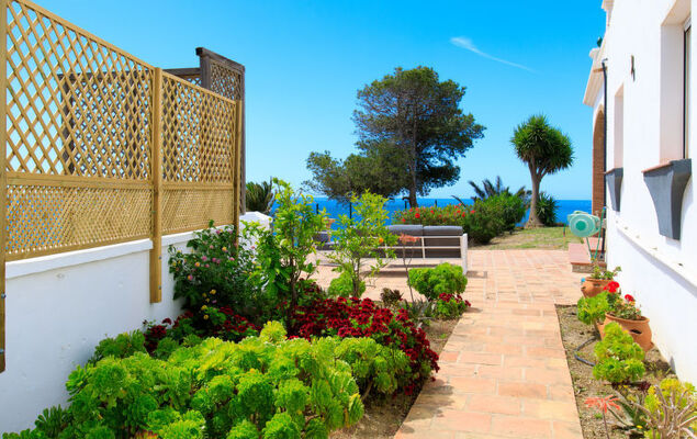 Atardecer - Photo 28