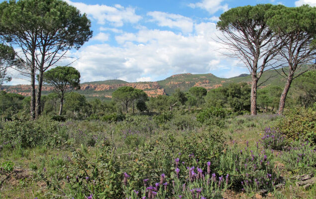 Les Domaines de St. Endréol - Photo 30