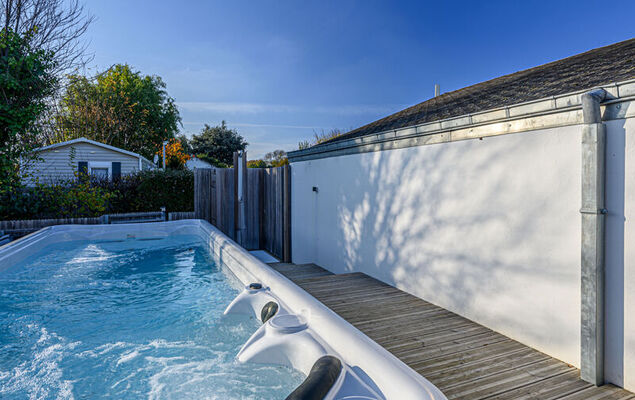 L'avocette - Photo 11