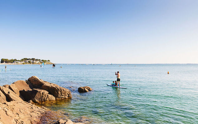 L'avocette - Photo 24