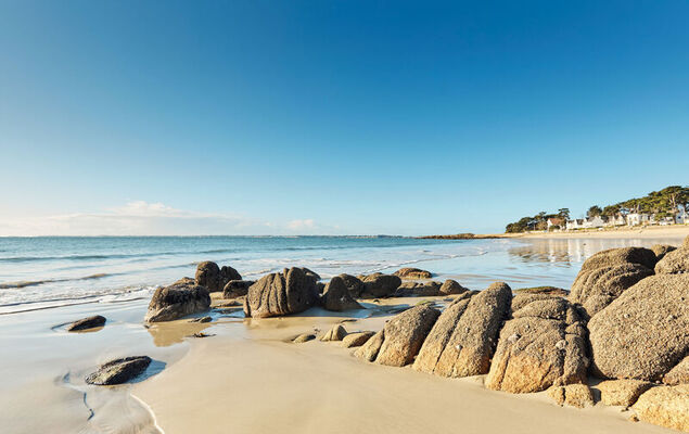 L'avocette - Photo 26