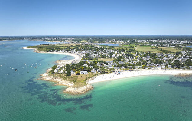 L'avocette - Photo 27