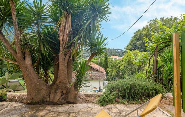 Au Vieux Yuca - Photo 16