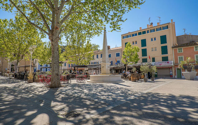 Les Hippocampes - Photo 24