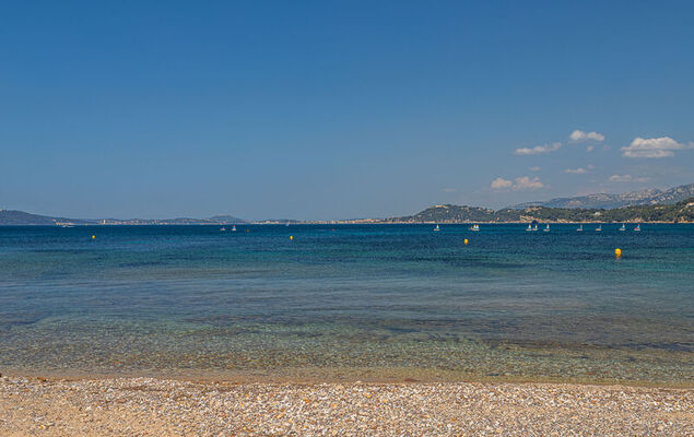 Les Hippocampes - Photo 25