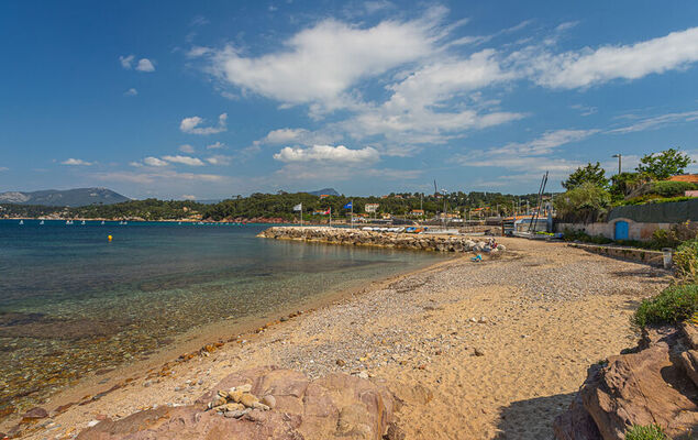 Les Hippocampes - Photo 27