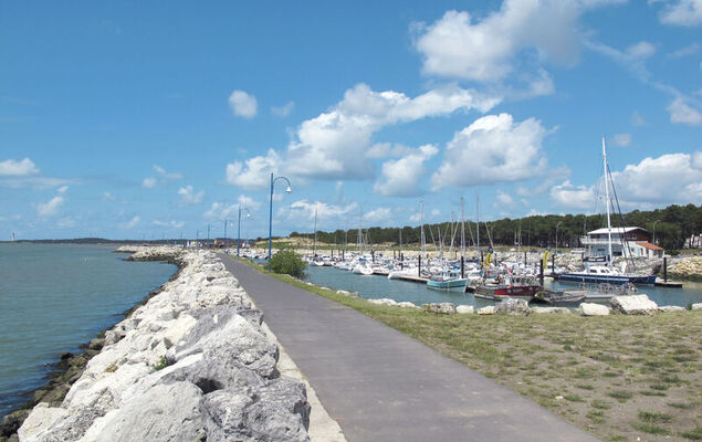 Bois d'Eleis - Photo 24