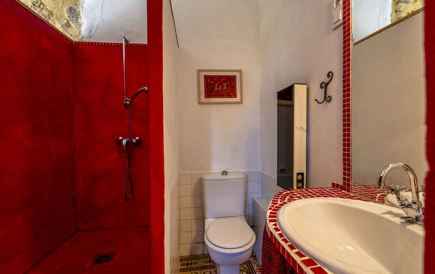 Le Mas d'Adélaïs - Photo 33