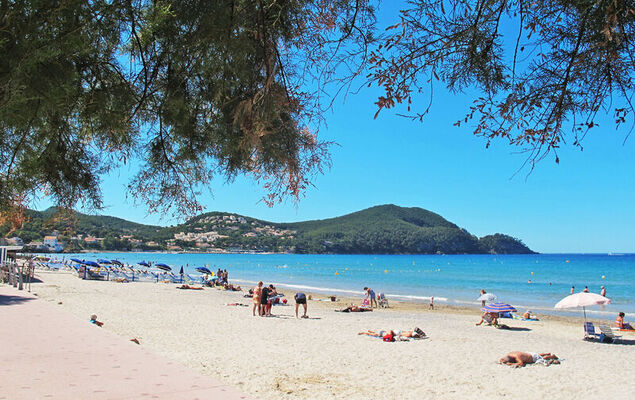 Les Trois A - Photo 18