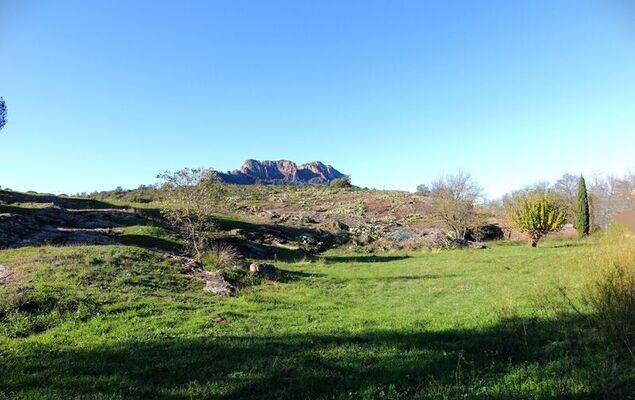 Villa Les Oliviers - Photo 39