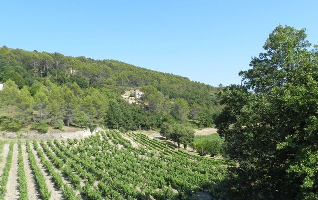 Saint-Michel - Photo 34