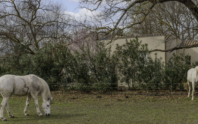 L'Aquillon - Photo 17