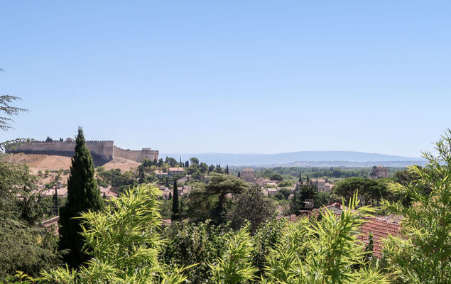 La Cigale - Photo 14