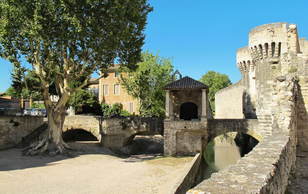 L' amandier - Photo 31