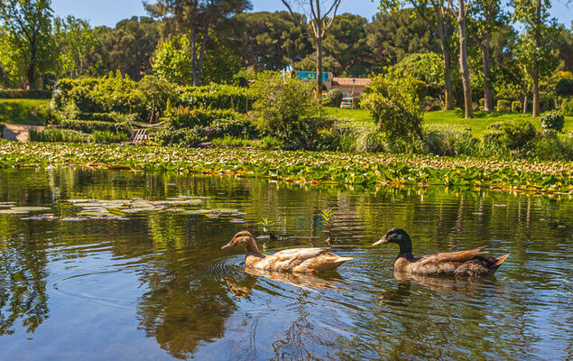 Les Rivages de Coudoulière - Photo 36