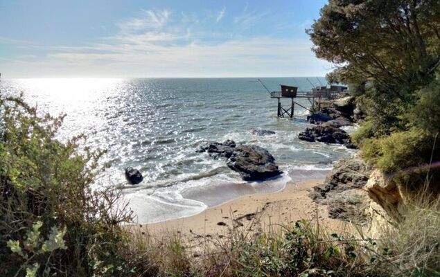 Les Roches - Photo 27