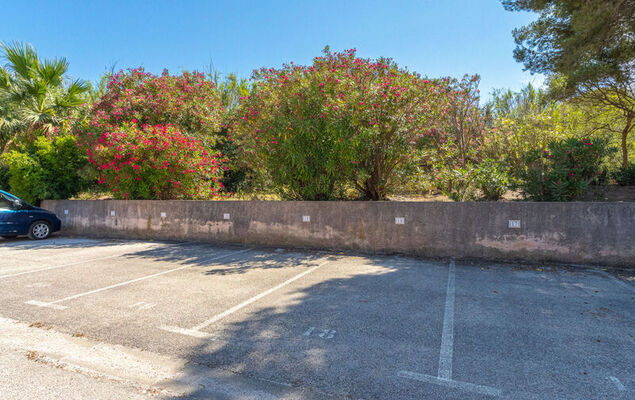 Le Dauphin - Photo 16