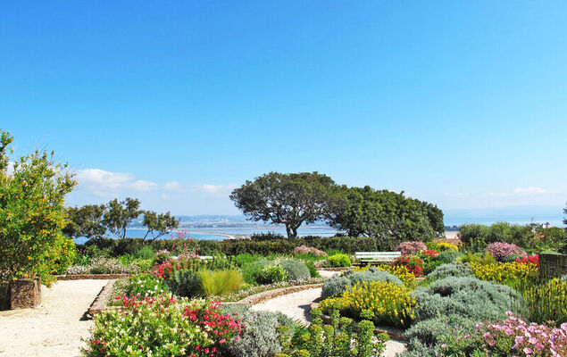 Le Dauphin - Photo 19